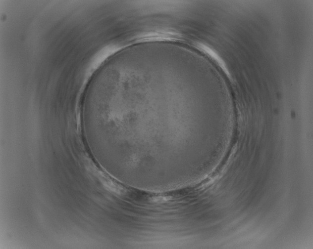 X0000070191419200606021046