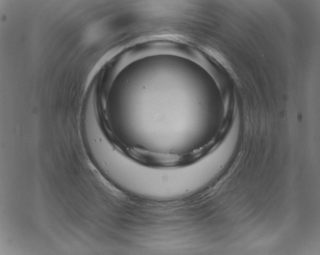 X0000070191420200606021046