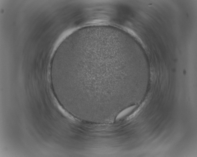 X0000070191421200606021046