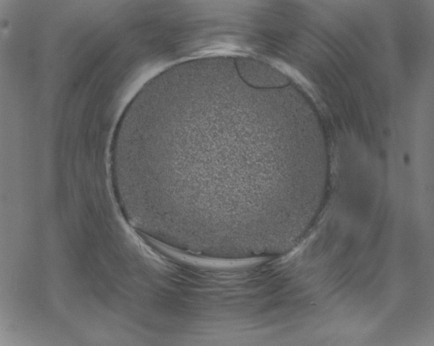 X0000070191423200606021046