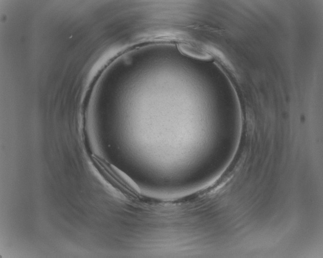 X0000070191424200606021046