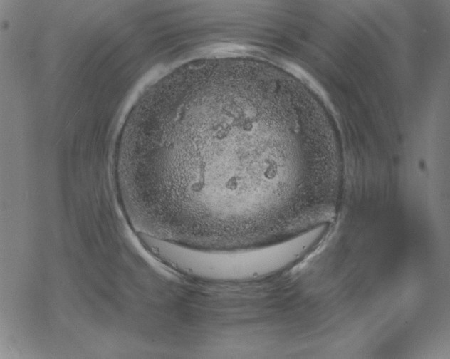 X0000070191429200606021046