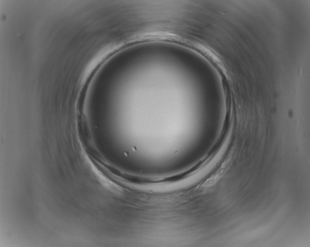 X0000070191430200606021046