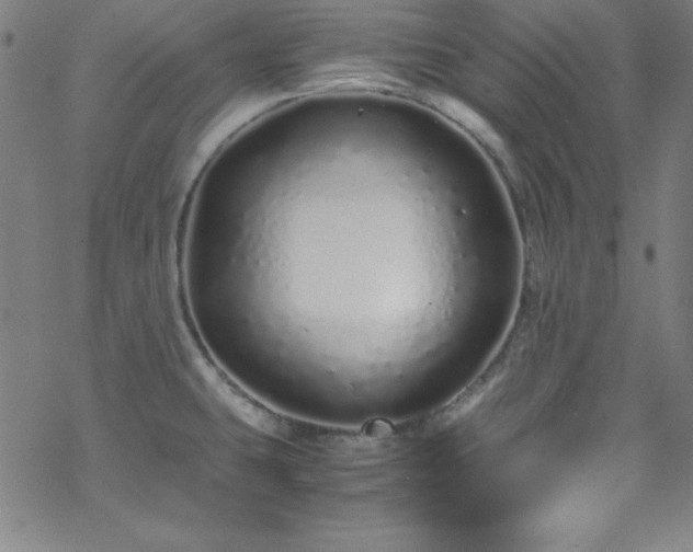 X0000070191431200606021046