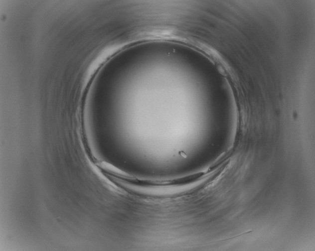 X0000070191432200606021046