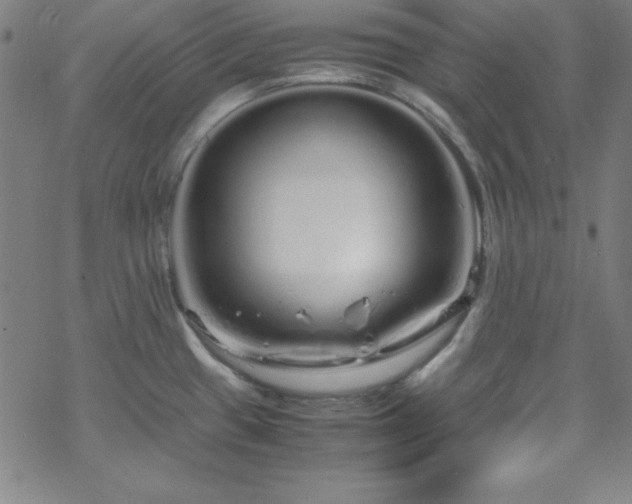 X0000070191433200606021046