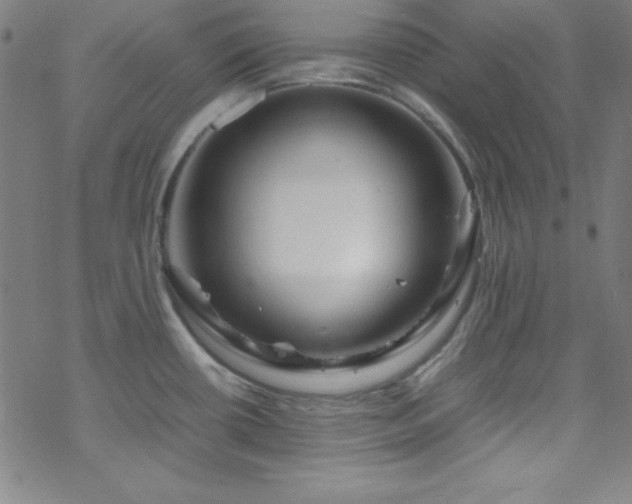 X0000070191434200606021046