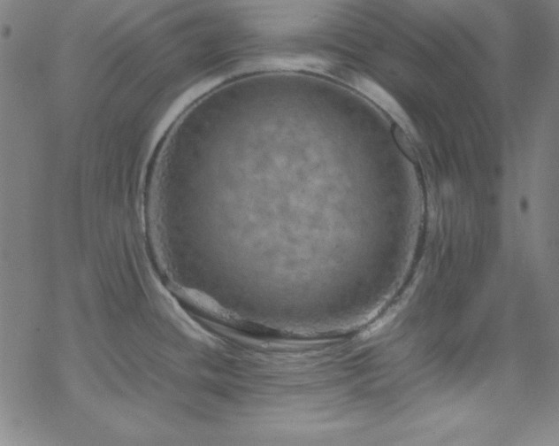 X0000070191436200606021046