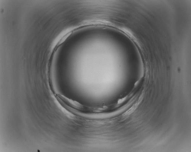 X0000070191438200606021046