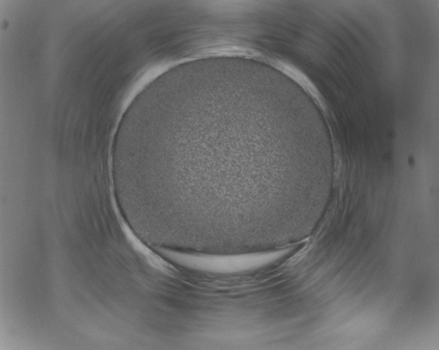 X0000070191439200606021046