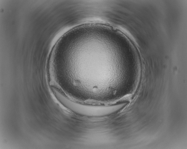 X0000070191440200606021046