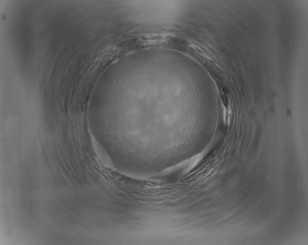 X0000070191441200606021045