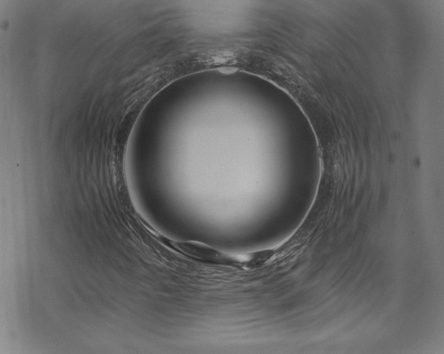 X0000070191442200606021045