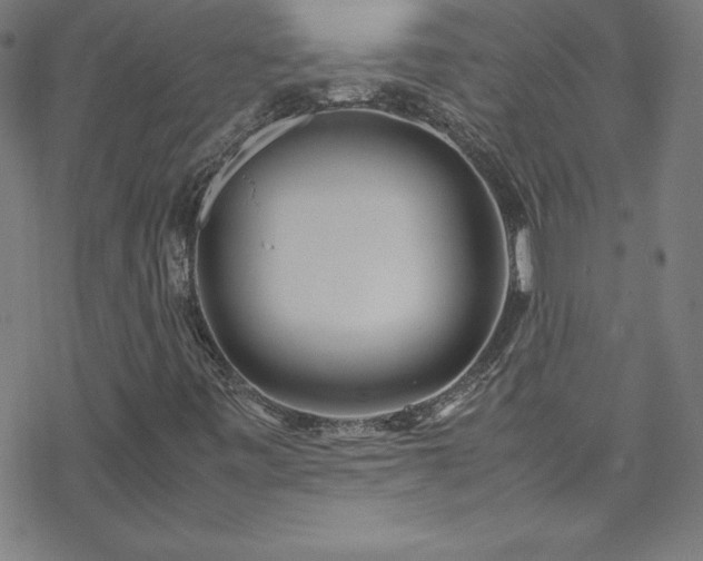 X0000070191443200606021045