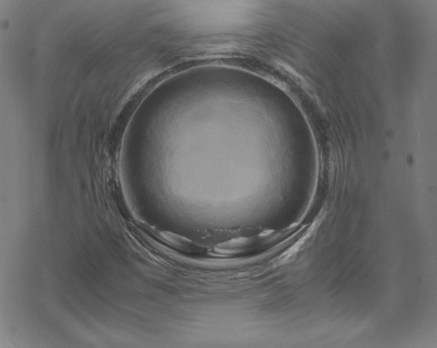 X0000070191449200606021045