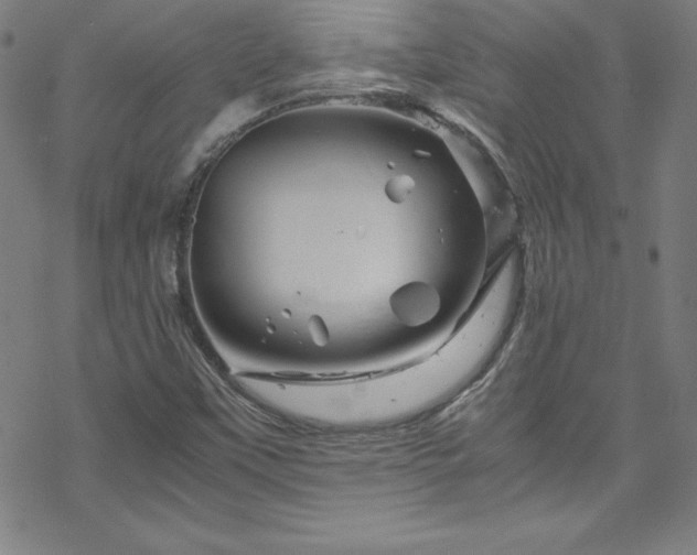 X0000070191451200606021045