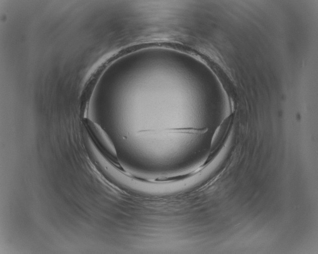 X0000070191452200606021045