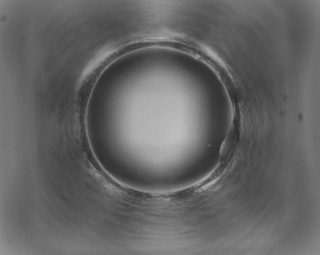 X0000070191456200606021045