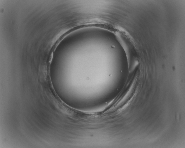 X0000070191457200606021045