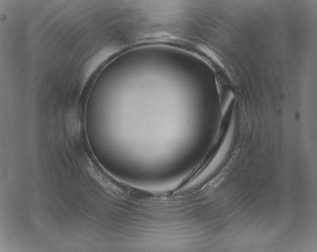 X0000070191458200606021045