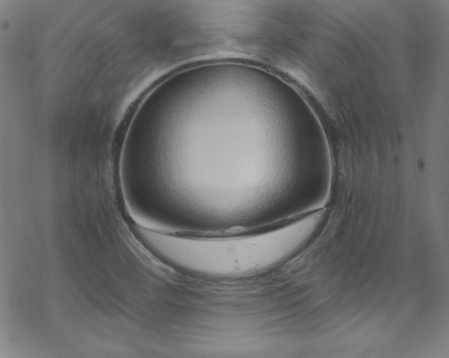 X0000070191460200606021045