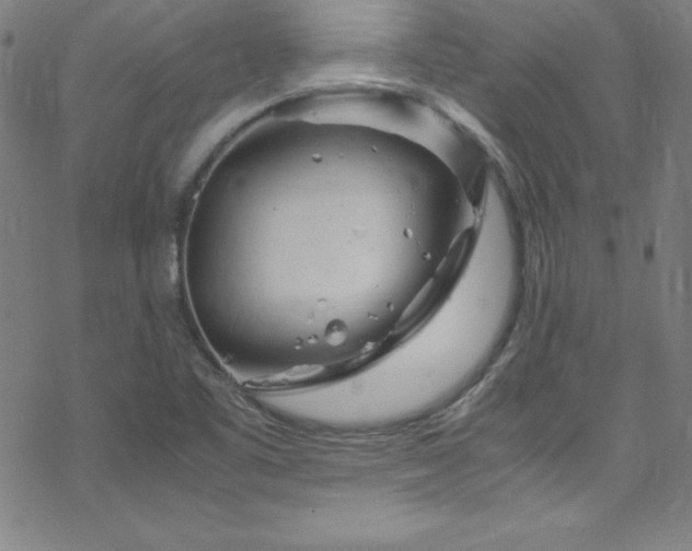 X0000070191461200606021045