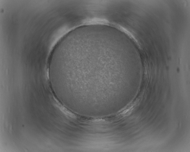 X0000070191462200606021045