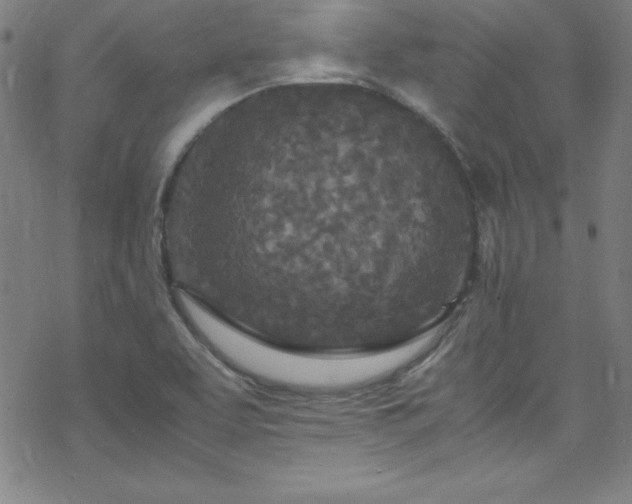 X0000070191463200606021045