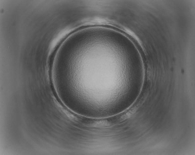 X0000070191464200606021045