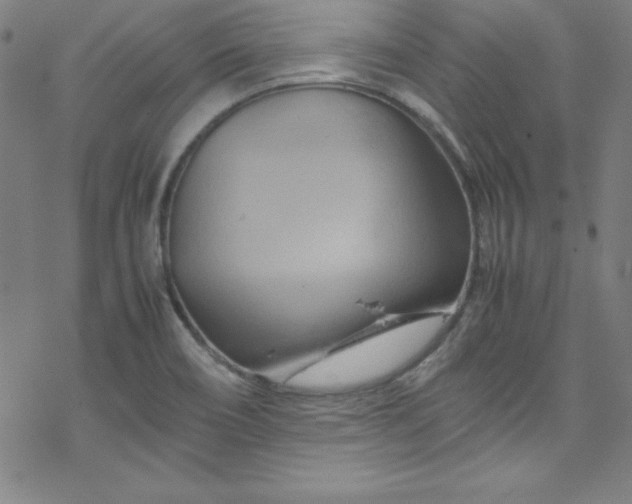 X0000070191466200606021045