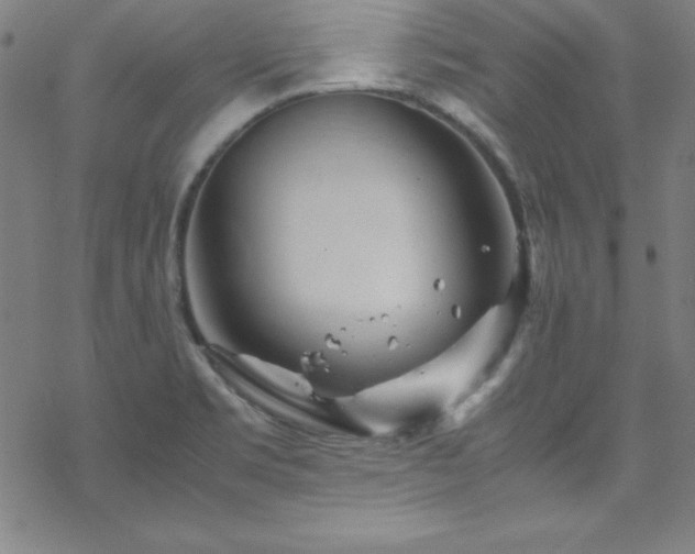 X0000070191469200606021045