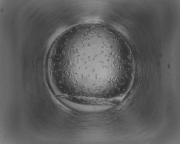 X0000070191471200606021045