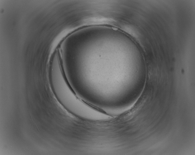 X0000070191472200606021045