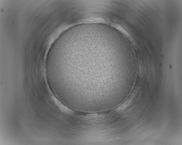 X0000070191478200606021045