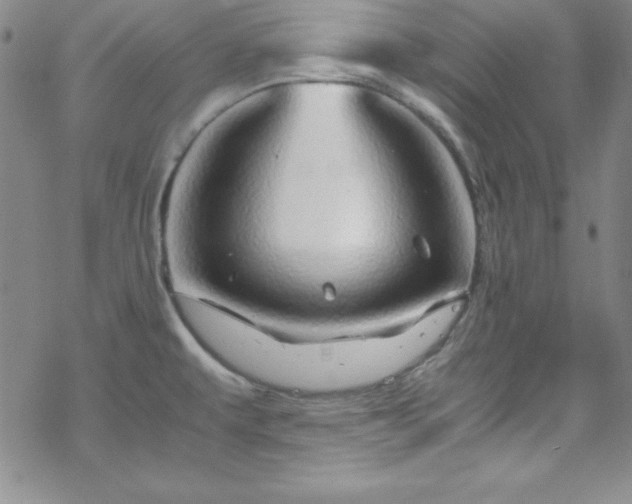 X0000070191479200606021045