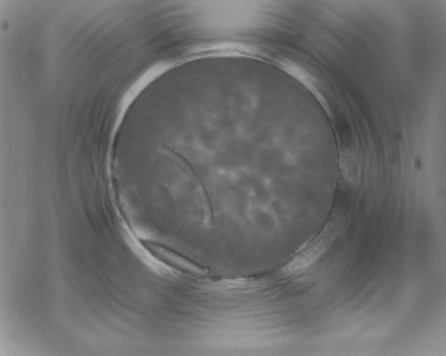 X0000070191482200606021045