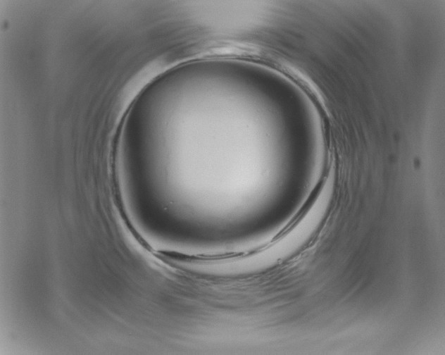 X0000070191483200606021045