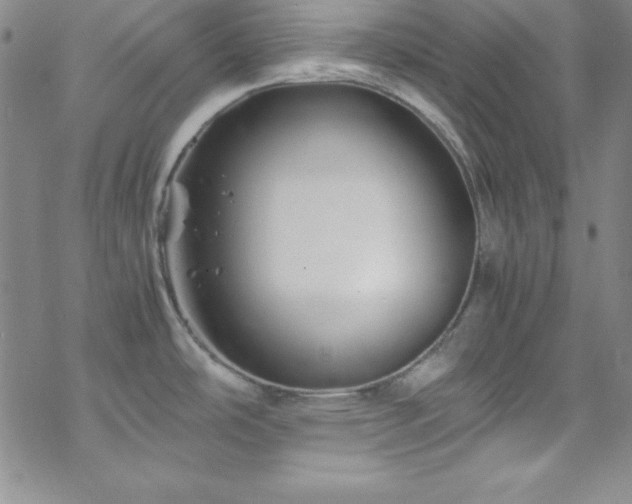 X0000070191486200606021045