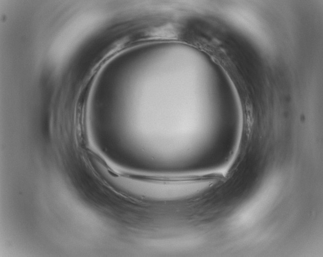 X0000070191487200606021045