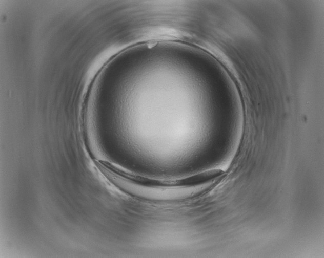 X0000070191488200606021045