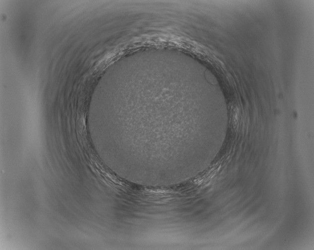 X0000070191489200606021044