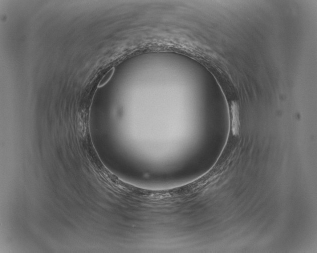 X0000070191491200606021044