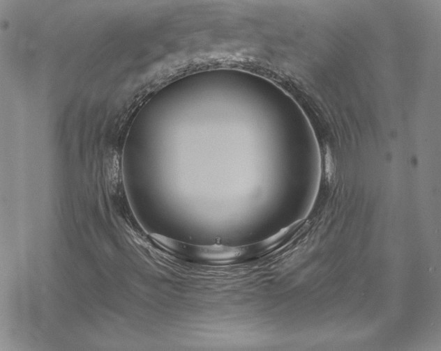 X0000070191492200606021044