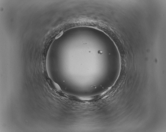 X0000070191493200606021044