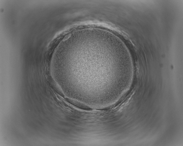 X0000070191494200606021044