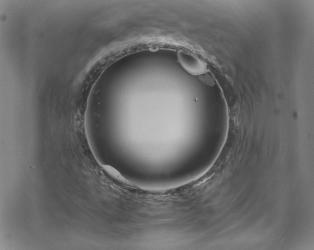 X0000070191495200606021044