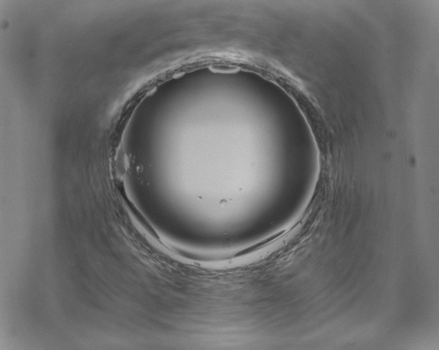 X0000070191496200606021044