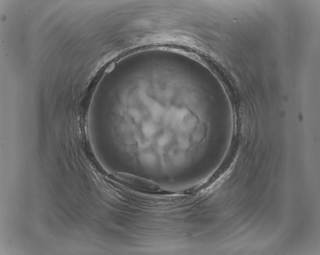 X0000070191497200606021044