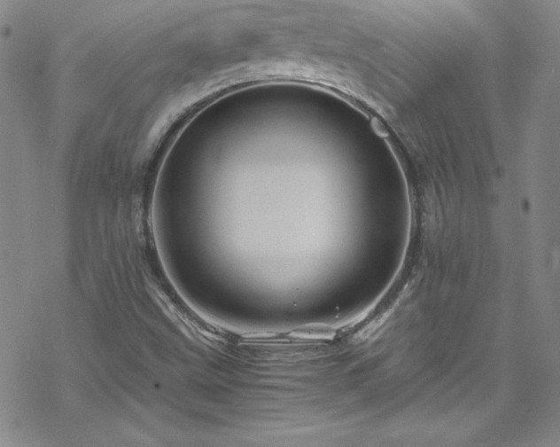 X0000070191499200606021044