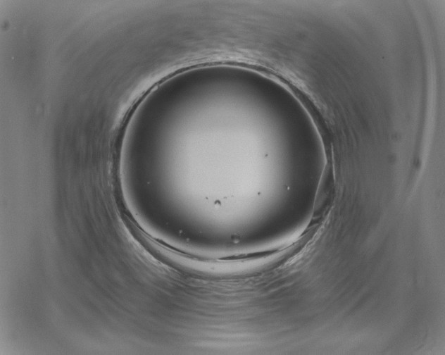 X0000070191500200606021044